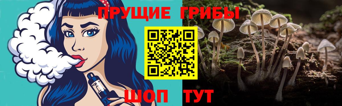 Галлюциногенные грибы ЛСД  Вход с VPN  Городец 